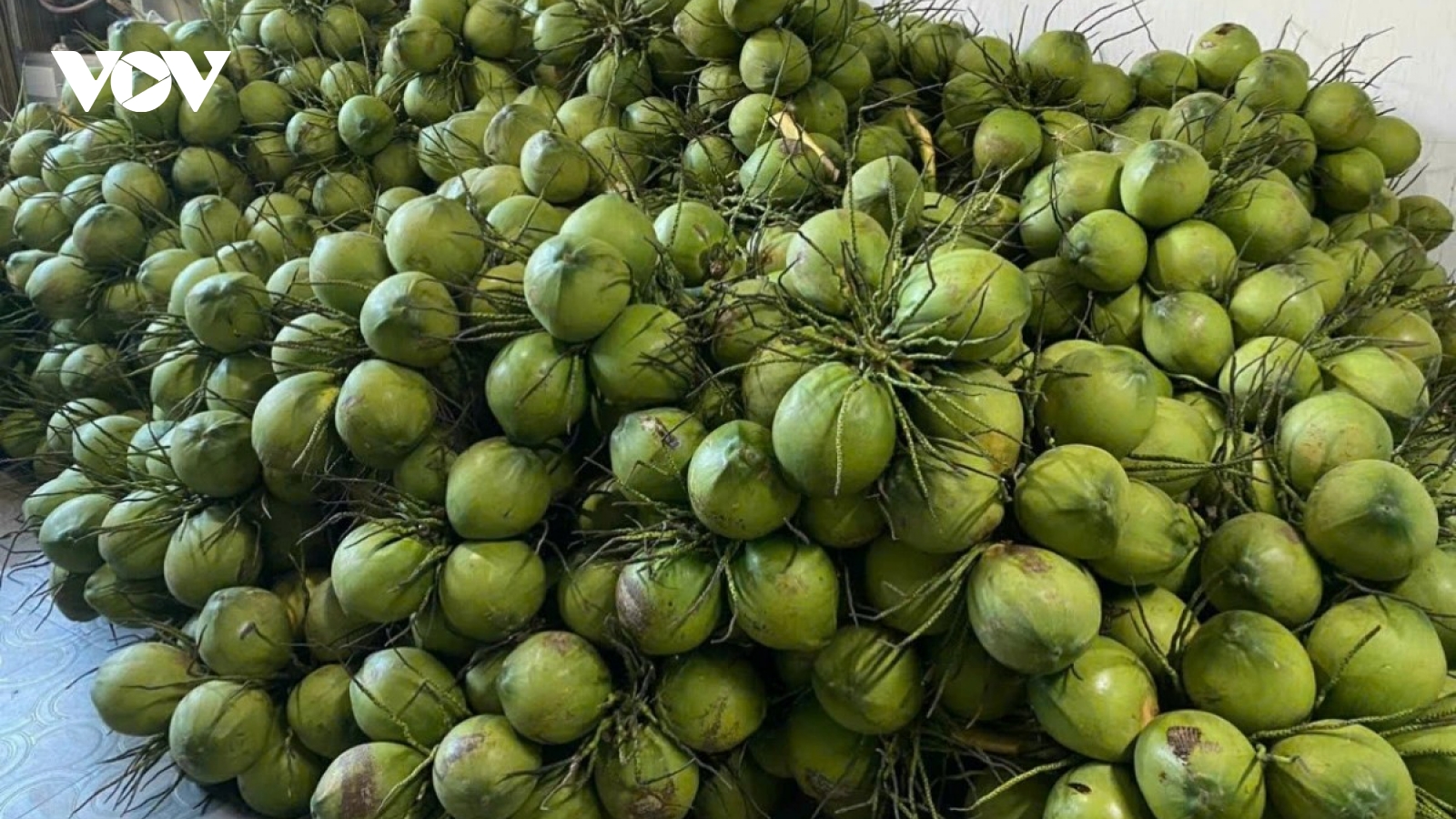 Loại quả Việt kiếm gần 100 triệu USD từ nền kinh tế số 1 thế giới